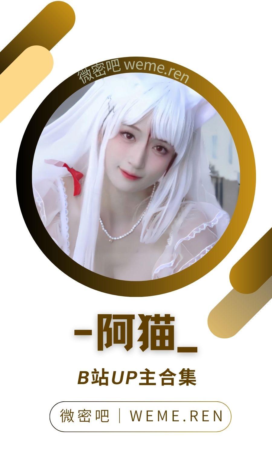 B站「阿猫」作品高质量备份打包