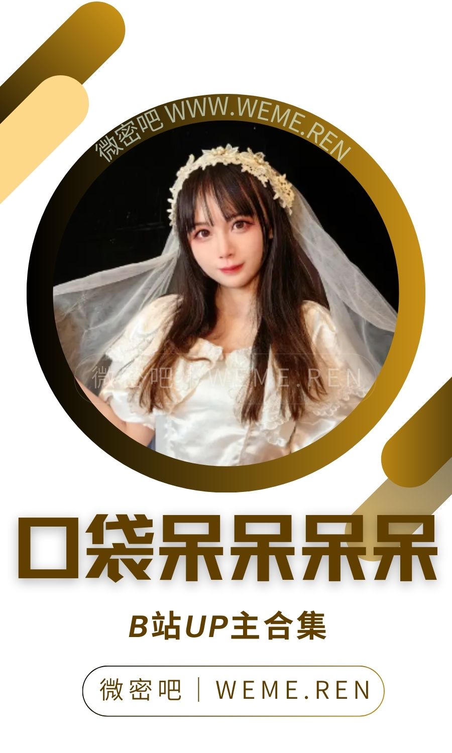 B站「口袋呆呆呆呆」作品高质量备份打包